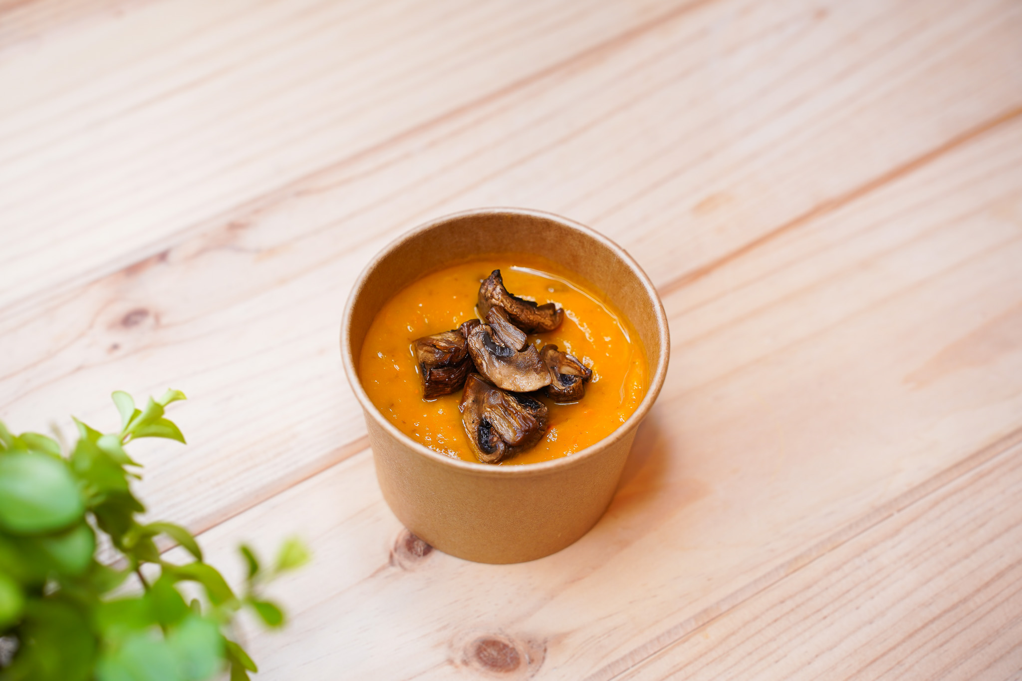 Creme de Feijão Azuki, Abóbora e Cogumelos